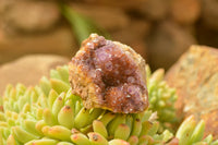 Natural Dark "Amethystos" Amethyst Clusters  x 35 From Kwaggafontein, South Africa - TopRock