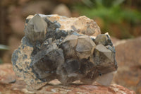 Natural Smokey Quartz Crystal Specimens  x 2 From Erongo Mountains, Namibia - TopRock