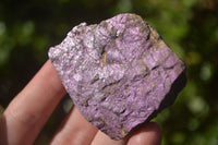 Natural Selected Purpurite Cobbed Specimens  x 14 From Namibia - TopRock