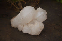 Natural Large Single Quartz Crystal Specimens  x 13 From Madagascar