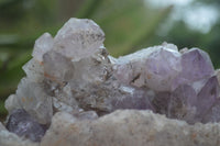 Natural Jacaranda Amethyst Cluster x 1 From Mumbwa, Zambia - TopRock