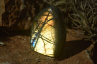 Polished Labradorite Standing Free Forms With Blue & Gold Flash  x 6 From Tulear, Madagascar - TopRock