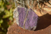 Natural Selected Purpurite Cobbed Specimens  x 14 From Namibia - TopRock