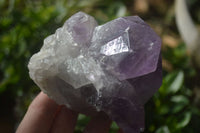 Natural Jacaranda Amethyst Clusters  x 3 From Mumbwa, Zambia - Toprock Gemstones and Minerals 