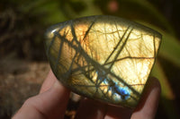 Polished Labradorite Standing Free Forms With Blue & Gold Flash  x 6 From Tulear, Madagascar - TopRock