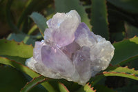 Natural Jacaranda Amethyst Clusters x 2 From Zambia