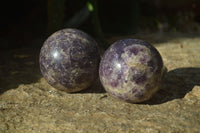 Polished Purple Lepidolite Spheres  x 6 From Zimbabwe