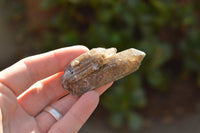 Natural Smokey Quartz & Aegirine Crystals x 14 From Zomba Mountain, Malawi - TopRock