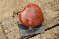 Polished Petrified Red Podocarpus Wood Hearts  x 2 From Mahajanga, Madagascar - TopRock