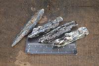 Natural Single Blue Kyanite Crystals  x 44 From Karoi, Zimbabwe