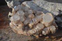 Natural Cascading White Phantom Smokey Quartz Cluster x 1 From Luena, Congo