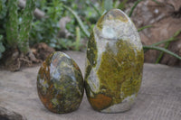 Polished Green Opal Standing Free Forms  x 2 From Antsirabe, Madagascar - Toprock Gemstones and Minerals 