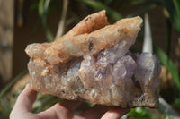 Natural Jacaranda Amethyst Cluster x 1 From Mumbwa, Zambia - TopRock