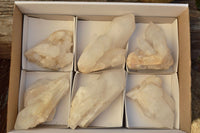 Natural White Quartz Specimens With Large Intact Crystals  x 6 From Madagascar - TopRock