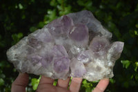 Natural Jacaranda Amethyst Clusters x 2 From Zambia