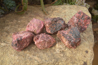 Natural Rough Red Rhodonite Specimens x 6 From Zimbabwe