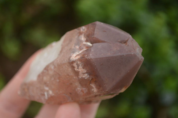 Natural Red Hematoid Quartz Specimens x 12 From Karoi, Zimbabwe - TopRock