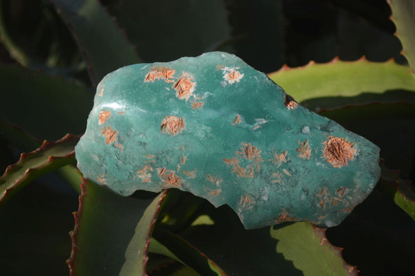 Polished On One Side Emerald Mtorolite Plates x 3 From Mutorashanga, Zimbabwe