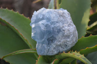 Natural Blue Celestite Crystal Specimens  x 3 From Sakoany, Madagascar - Toprock Gemstones and Minerals 