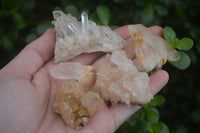 Natural Small Mixed Quartz Clusters  x 53 From Madagascar - TopRock