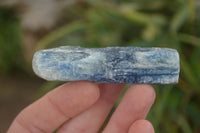 Natural Single Blue Kyanite Crystals  x 35 From Karoi, Zimbabwe - Toprock Gemstones and Minerals 