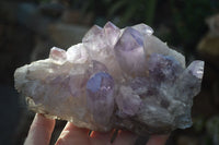 Natural Jacaranda Amethyst Clusters x 2 From Zambia