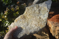 Natural Blue Lace Agate Geode Specimen x 1 From Nsanje, Malawi