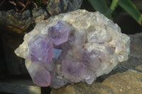 Natural Jacaranda Amethyst Clusters  x 2 From Zambia - Toprock Gemstones and Minerals 