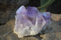 Natural Jacaranda Amethyst Clusters x 2 From Zambia