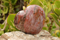 Polished Petrified Red Podocarpus Wood Hearts  x 2 From Mahajanga, Madagascar - TopRock