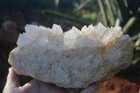 Natural White Phantom Candle Quartz Clusters  x 2 From Madagascar - Toprock Gemstones and Minerals 