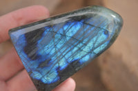 Polished Labradorite Standing Free Forms With Blue & Gold Flash  x 6 From Tulear, Madagascar - TopRock