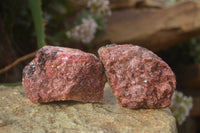 Natural Rough Red Rhodonite Specimens x 6 From Zimbabwe