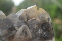 Natural Smokey Quartz Crystal Specimens  x 2 From Erongo Mountains, Namibia - TopRock