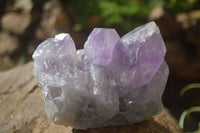 Natural Jacaranda Amethyst Clusters  x 3 From Mumbwa, Zambia - Toprock Gemstones and Minerals 