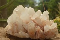 Natural Large Pineapple Candle Quartz Cluster  x 1 From Madagascar - TopRock