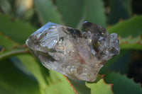 Natural Clear, Smokey, Amethyst and Window Quartz Specimens x 6 From Brandberg, Namibia - Toprock Gemstones and Minerals 