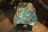 Natural Drusy Coated Chrysocolla Dolomite Specimens x 2 From Likasi, Congo