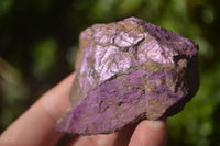 Natural Selected Purpurite Cobbed Specimens  x 14 From Namibia - TopRock