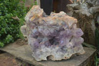 Natural Jacaranda Amethyst Cluster x 1 From Mumbwa, Zambia - TopRock