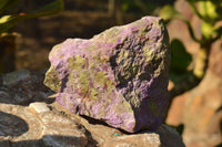 Natural Small Cobbed Selected Rough Stichtite Specimens  x 6 From Barberton, South Africa - TopRock