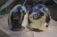 Polished Septerye Standing Free Forms x 2 From Mahajanga, Madagascar