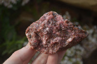 Natural Rough Red Rhodonite Specimens x 6 From Zimbabwe