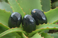 Polished Schorl Black Tourmaline Palm Stones  x 12 From Madagascar - Toprock Gemstones and Minerals 