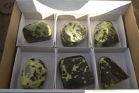 Polished Leopard Stone Free Forms  x 6 From Inyanga, Zimbabwe