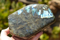 Polished Blue & Gold Labradorite Standing Free Form  x 1 From Tulear, Madagascar - TopRock