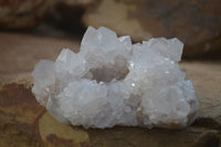 Natural White Cactus Flower Spirit Quartz Specimens x 6 From Boekenhouthoek, South Africa