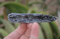 Natural Single Blue Kyanite Crystals  x 44 From Karoi, Zimbabwe