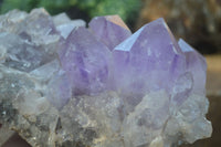 Natural Jacaranda Amethyst Clusters  x 2 From Zambia - Toprock Gemstones and Minerals 