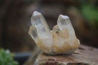 Natural Small Mixed Quartz Clusters  x 53 From Madagascar - TopRock